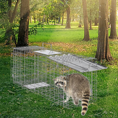 Live Animal Cage Trap, 31" X 10" X 12" Humane Cat Trap Galvanized Iron, Folding Animal Trap With Handle For Rabbits, Stray Cats, Squirrels, Raccoons, Groundhogs And Opossums