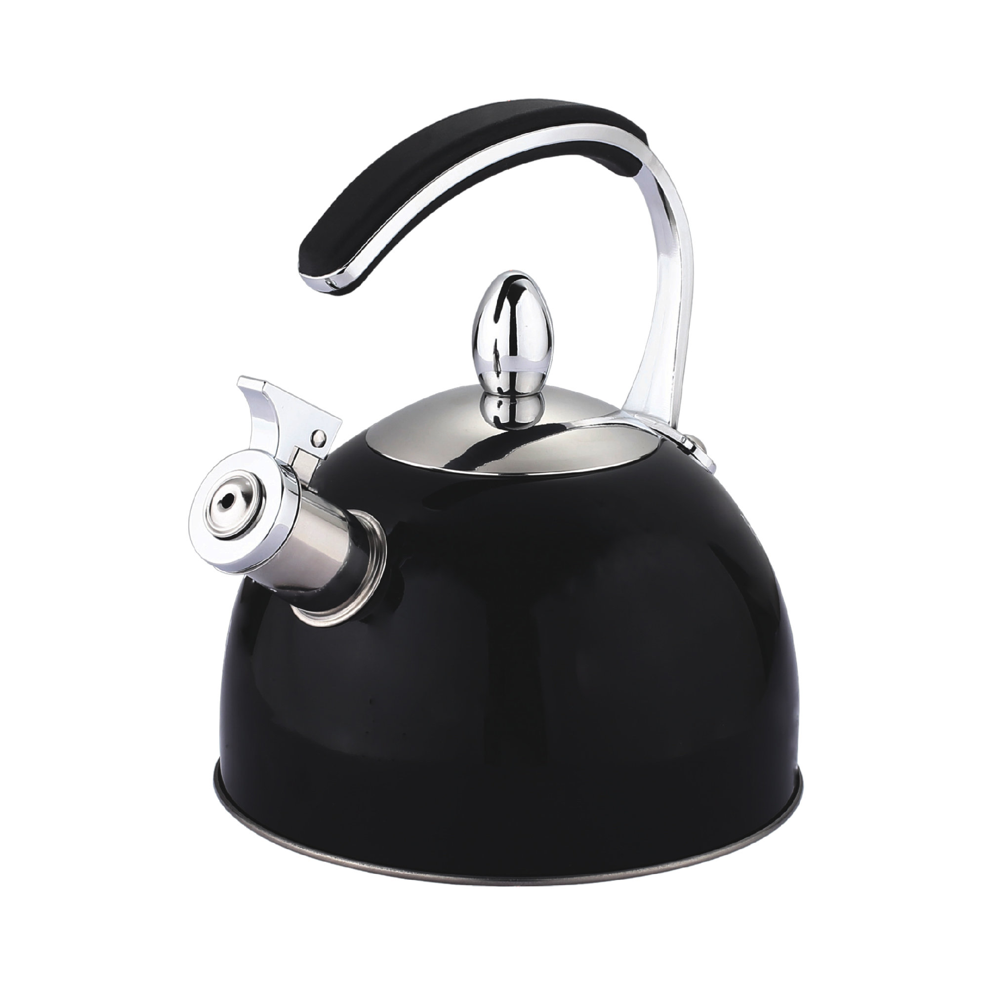 Buckingham Stove Top Whistling Kettle 2 Litre Black | Wayfair.co.uk