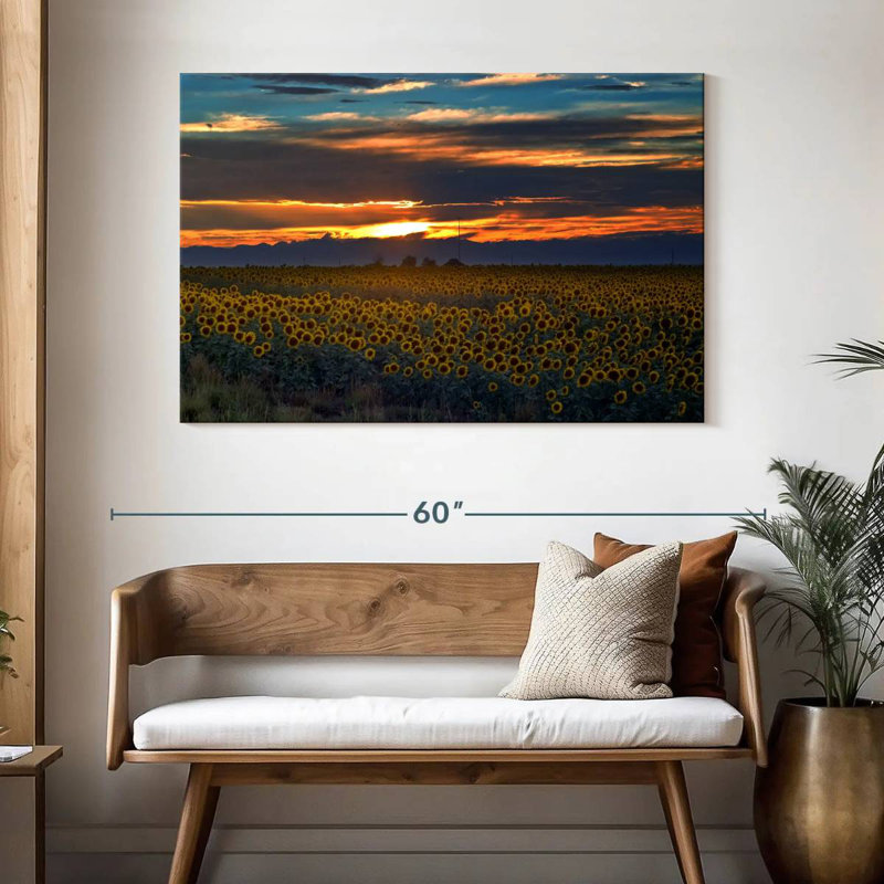 Champ de tournesols Alvord Colorado, H 32 po x l 48 po