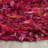 Godsey Shag Hand Woven Performance Solid Color Rug-799559556