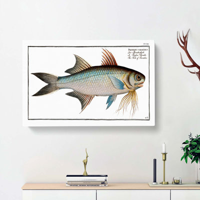 Fish Of Paradise by M.E. Bloch - Wrapped Canvas