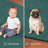 Modern Plush Pet and Kids Friendly Solid Color Teal Area Rugs, Stain & Fade Resistance, Perfect for Living Room, Dining Room, Bedroom, Playroom and Kidsroom, Event, Wedding, Parsons Rug-151805651