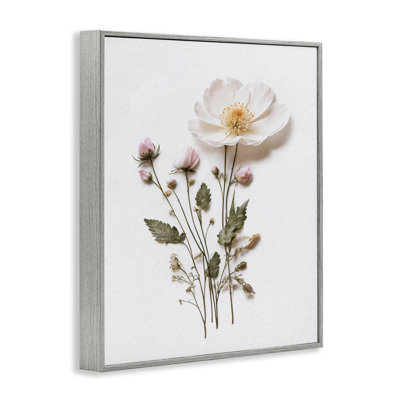 Giclée encadrée de fleurs simples pressées, design par lettré et doublé