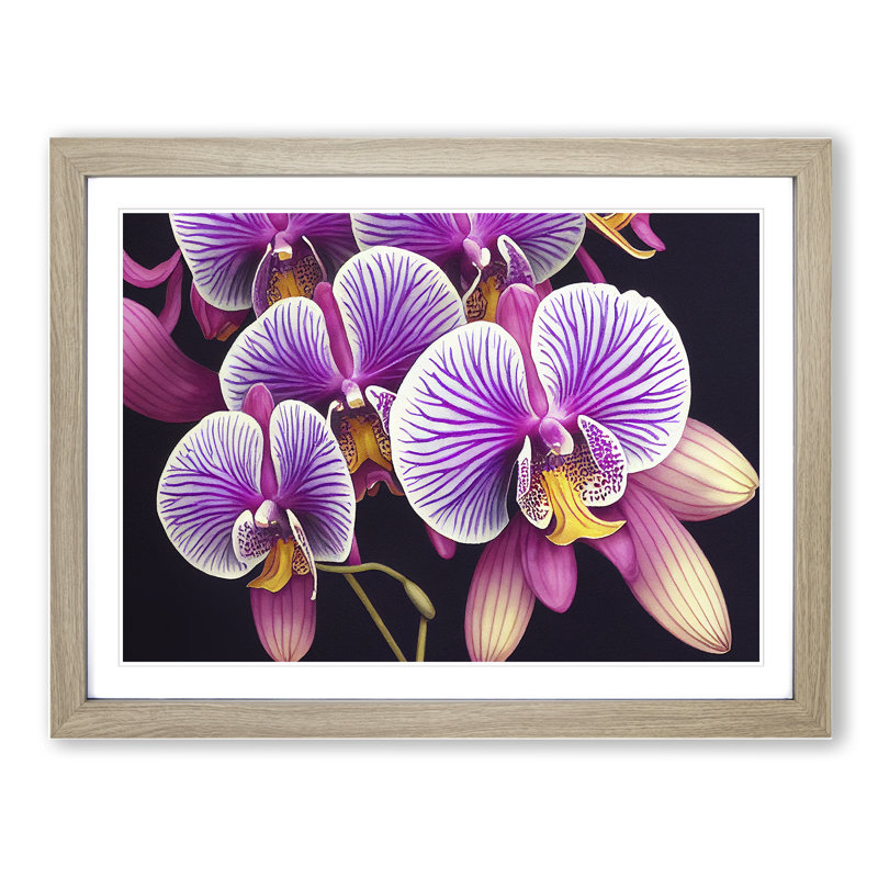 Adventurous Orchid Flowers - Single Picture Frame Print, Oak Framed, 34cm H x 46cm W x 2cm D