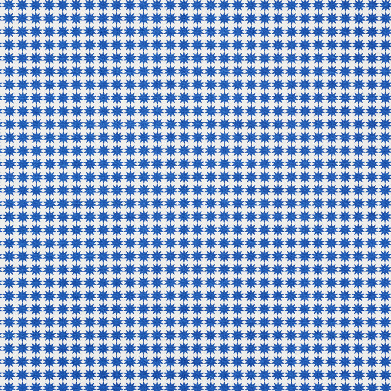 Schumacher x Studio Bon Stella Fabric, Blue