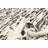 Sienna Black Rug 6'1" x 9'0"