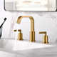 Widespread Bathroom Faucet with Drain Assembly