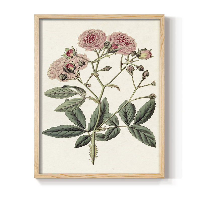 «Pink Floral Mix», reproduction encadrée en V - bois massif, Naturel, H 30 po x l 24 po