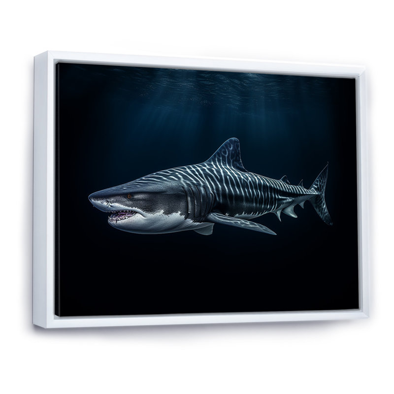 " Tiger Shark Territory II ", White Floater Framed, 24" H x 32" W x 1" D
