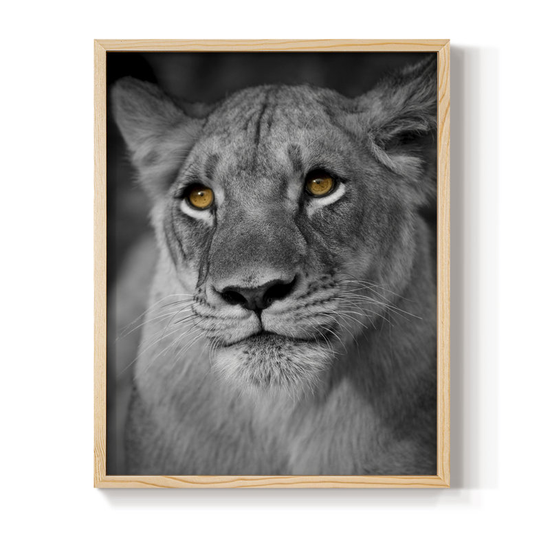 Portrait de lionne, reproduction encadrée - bois massif, H 11 po x l 9 po, Naturel