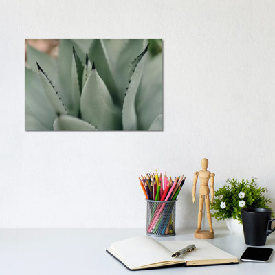 Mint Succulent II 1 Piece Wrapped Canvas Wall Art