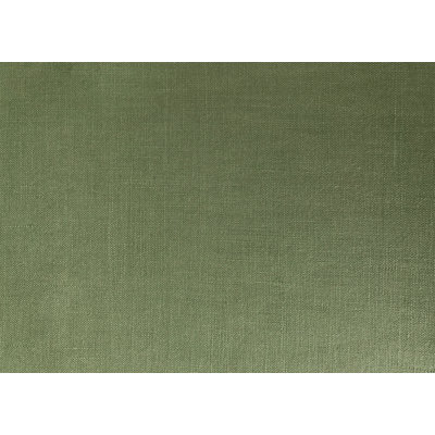 Studio Moss