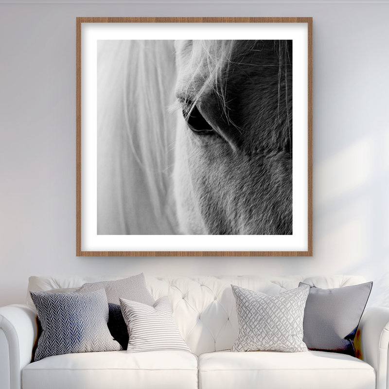 L'œil de cheval blanc - reproduction matte encadrée pour la décoration intérieure, H 36 po x l 36 po, Brun