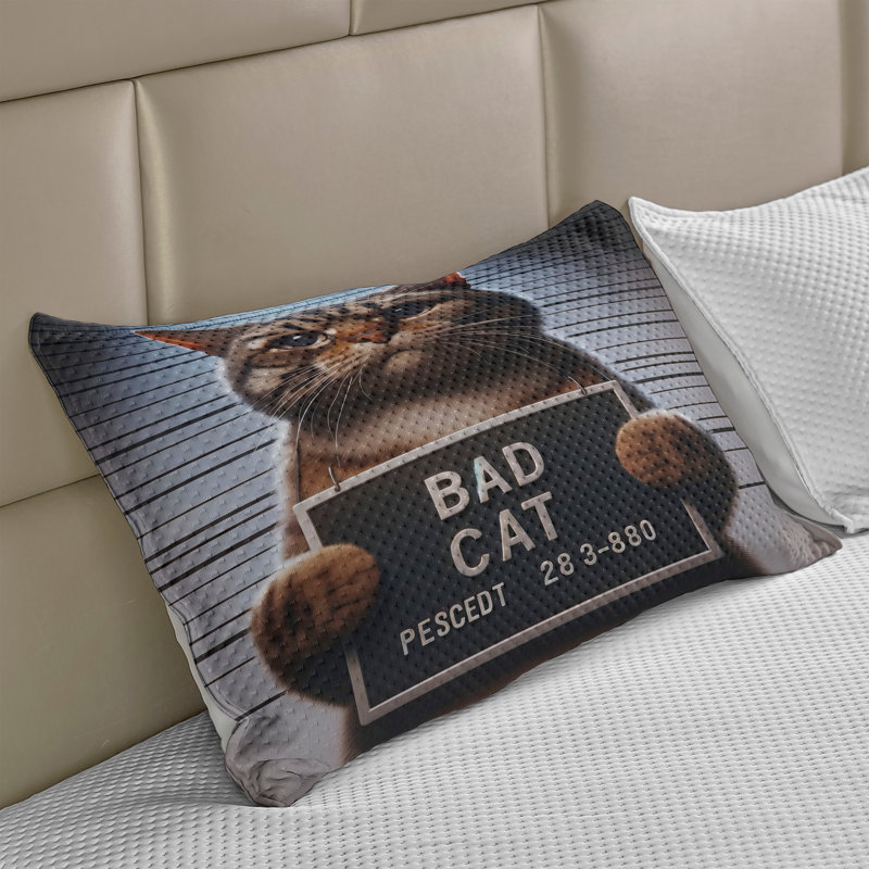Housse de couette pour chat Ambesonne, H 20 po x l 30 po