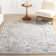 Cady SpinClean Machine Washable Transitional Area Rug