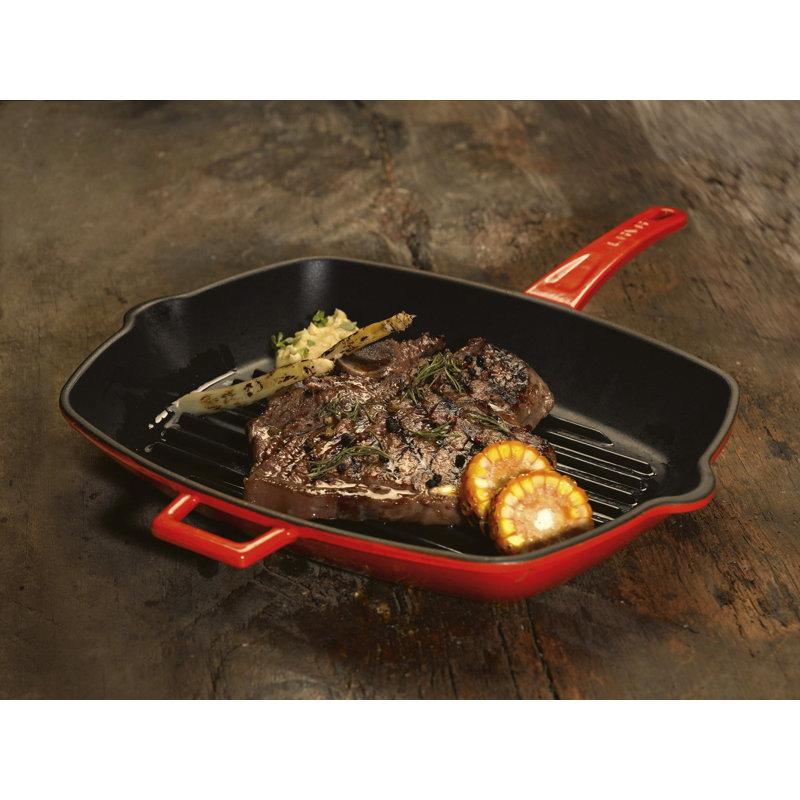 Moule de barbecue intégrale pour lave canada, Bleu, l 10,25 po