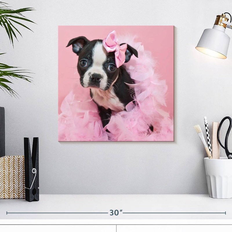 Crowle Sassy Boston Terrier, H 16 po x l 16 po