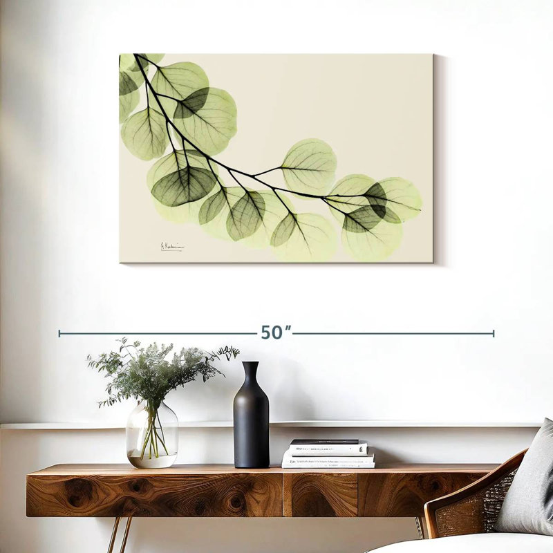 Eucalyptus Harnek Mint, H 24 po x l 36 po