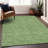 Machine Washable Indoor/Outdoor Chayden ACN1057 Rug-1424231093