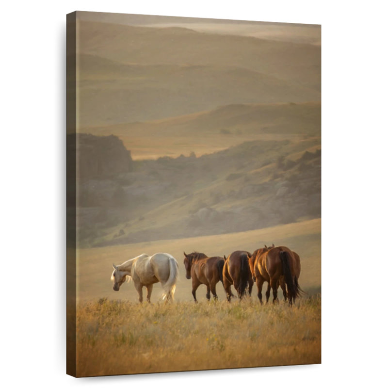 Brampt Sunkissed Horses VI, H 45 po x l 30 po