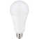 300 Watt Equivalent A23 E26/Medium (Standard) LED Bulb