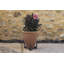 Mari Weather Resistant Planter Feet