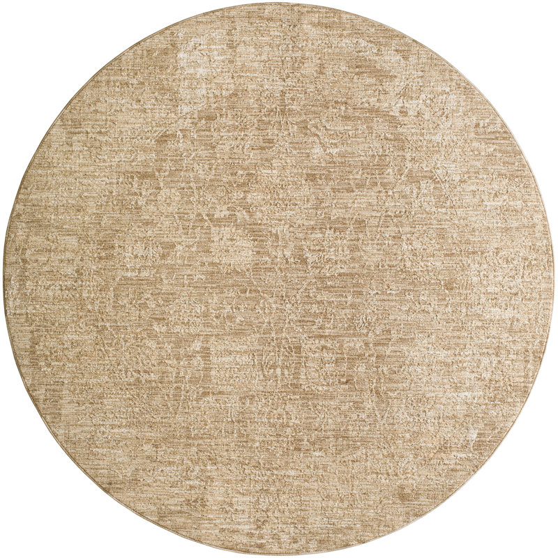 Alonzo Indoor Rug, Round 5'3" 