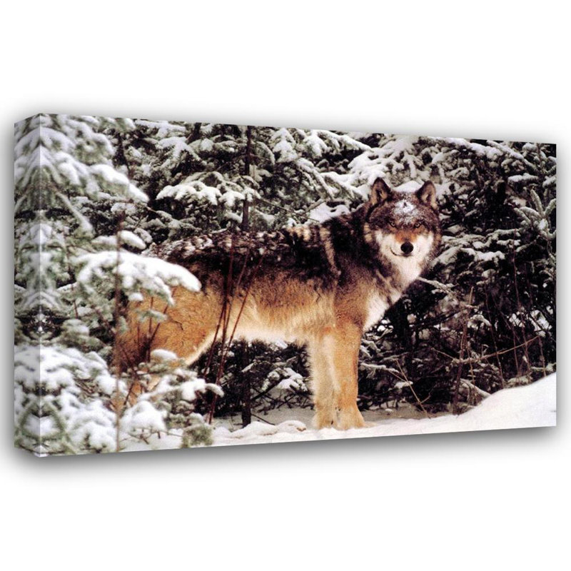 Winter Wolf, 12" H x 18" W