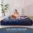 Bean Bag Chair-595687799-597191004