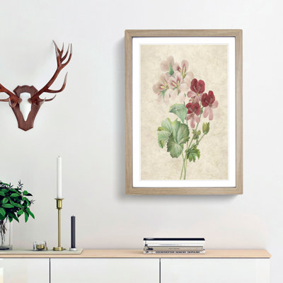Cranesbill Flowers by Pierre-Joseph Redoute - Picture Frame Painting Print