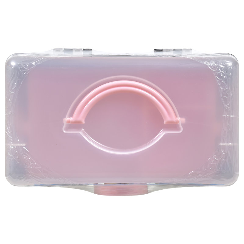 Singer Sewer's Companion Sewing Kit