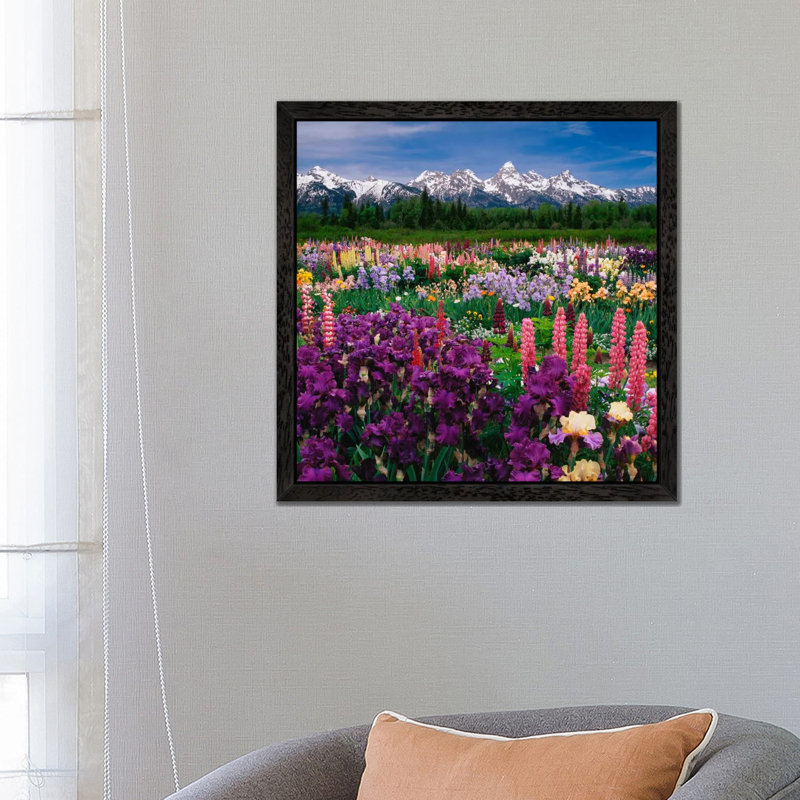 Iris & Lupine Field, Grand Teton National Park, Teton County, Wyoming, Usa by Adam Jones - Print on Canvas