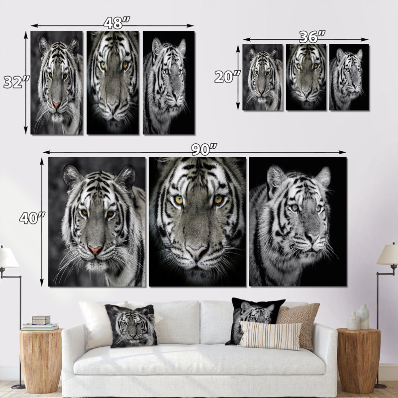 Portrait monochrome d'un tigre blanc III - ensemble d'art traditionnel de 3 pièces, H 20 po x l 36 po x P 1 po