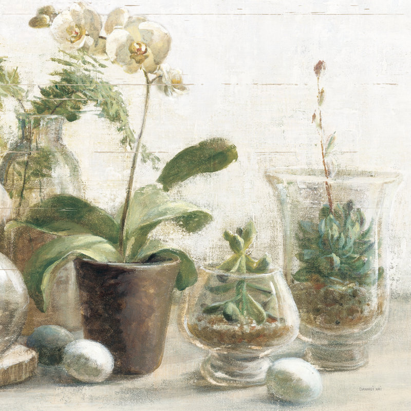 Greenhouse Orchids On Shiplap III by Danhui Nai - Wrapped Canvas Painting, 51cm H x 51cm W