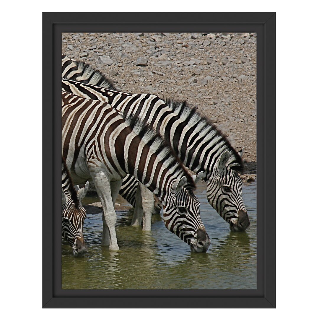 Gerahmtes Wandbild Zebraherde an einem Wasserloch