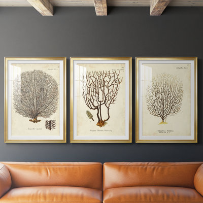 Esper Sea Fans I - reproduction sur mesure encadrée de qualité supérieure - 3 pièces