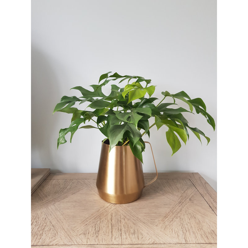 Sheena Metal Table Vase