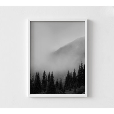 Black And White Mountain Terrain, Oversized Wall Art, Tree Photography Prints, Picture Frames, Large Forest Wall Art, Black And White Pics