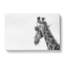 Monochrome Giraffe In Abstract - Wrapped Canvas-55310026