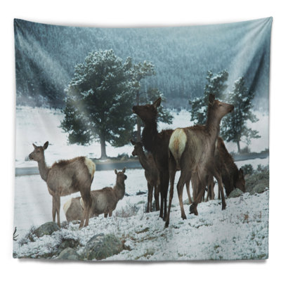 Polyester Tapestry