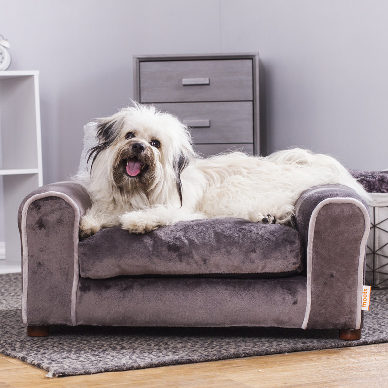 Charcoal Medium Orthopedic Elevated Pet Sofa with Memory Foam