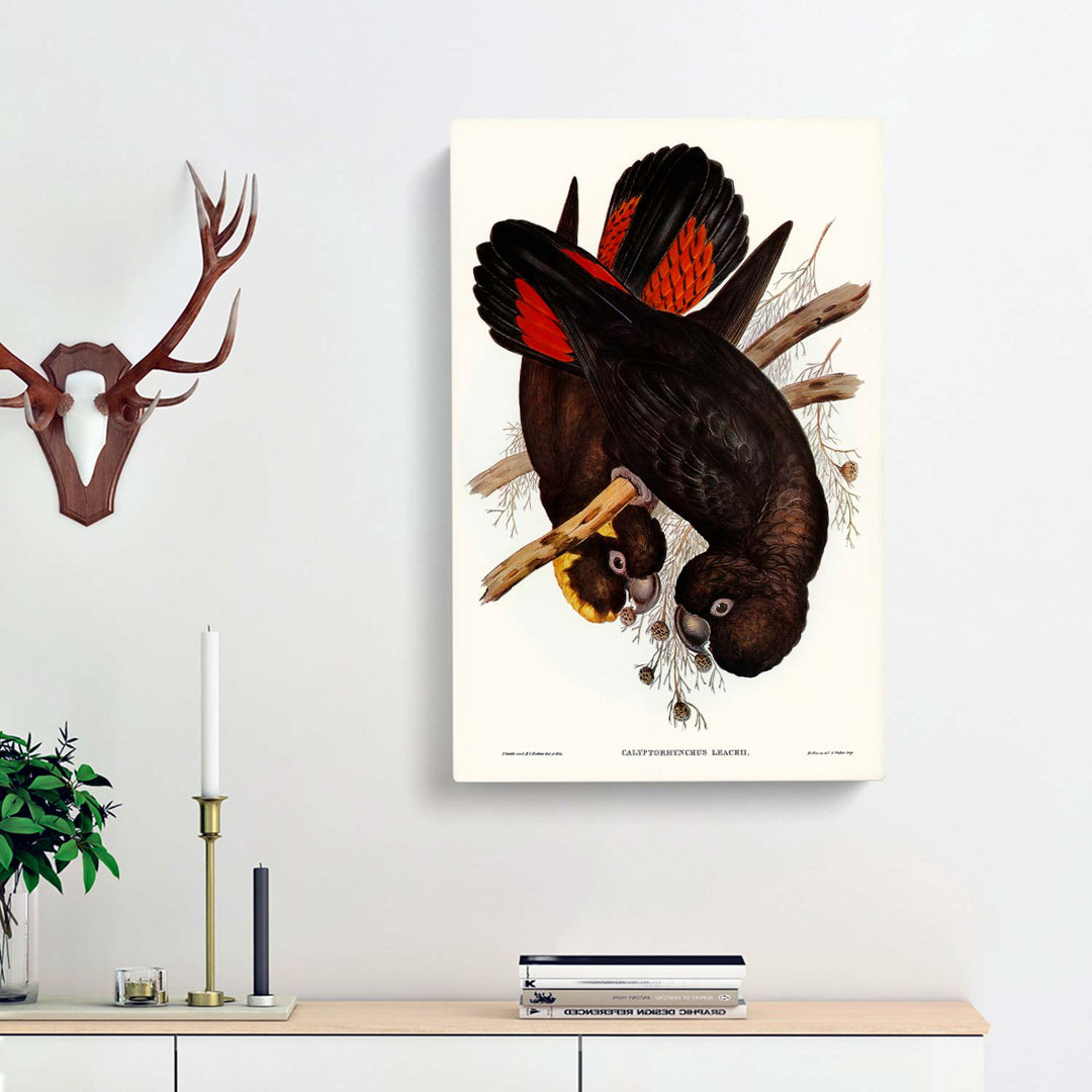 Leachs Cockatoo by Elizabeth Gould - Wrapped Canvas Art - Wrapped Canvas