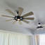 Karthic 85cm Ceiling Fan with LED Lights