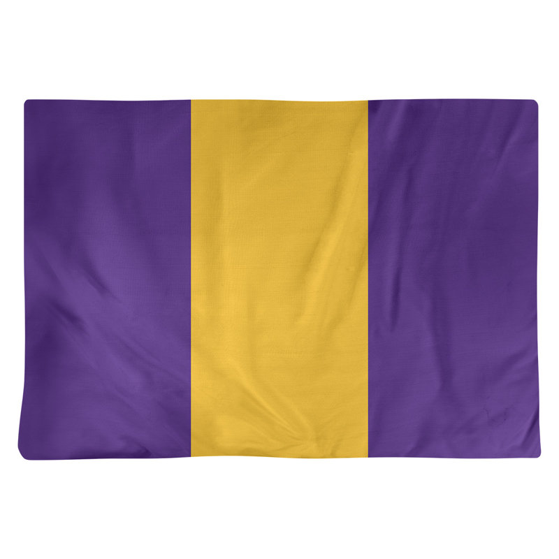 Récapitulatif 18" à rayures de football Minnesota, Mauve / doré