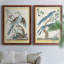 Toile encadrée Pastel Birds V Premium - prête à être accrochée-522629536-522629538