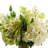Hydrangea Arrangement in Vase