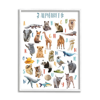 Kid's Playful Animal Alphabet - impression