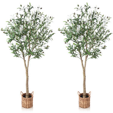 Start Blanc arboricole PAE pulvérisable : Branches+troncs 5L 5L BLA5 :  : Jardin