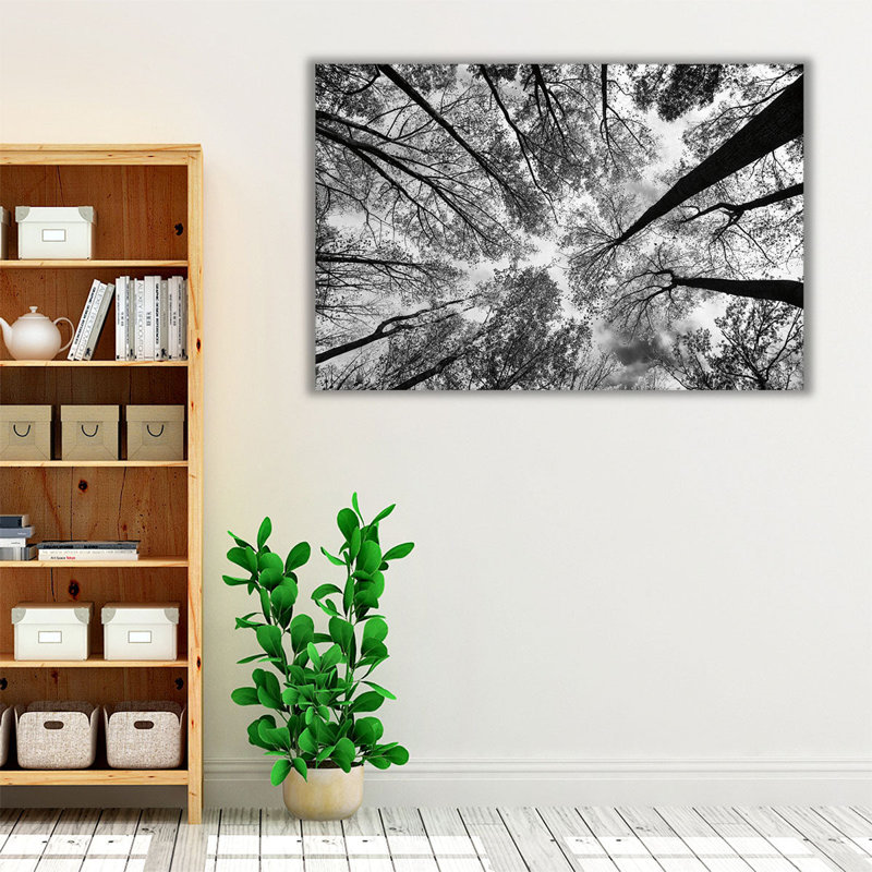 «Look Up I Black and White», reproduction d'art sur toile, H 12 po x l 18 po
