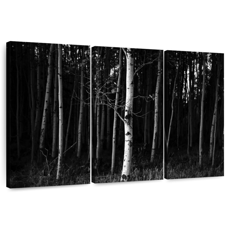 Forêt noire Harnek, H 20 po x l 33 po